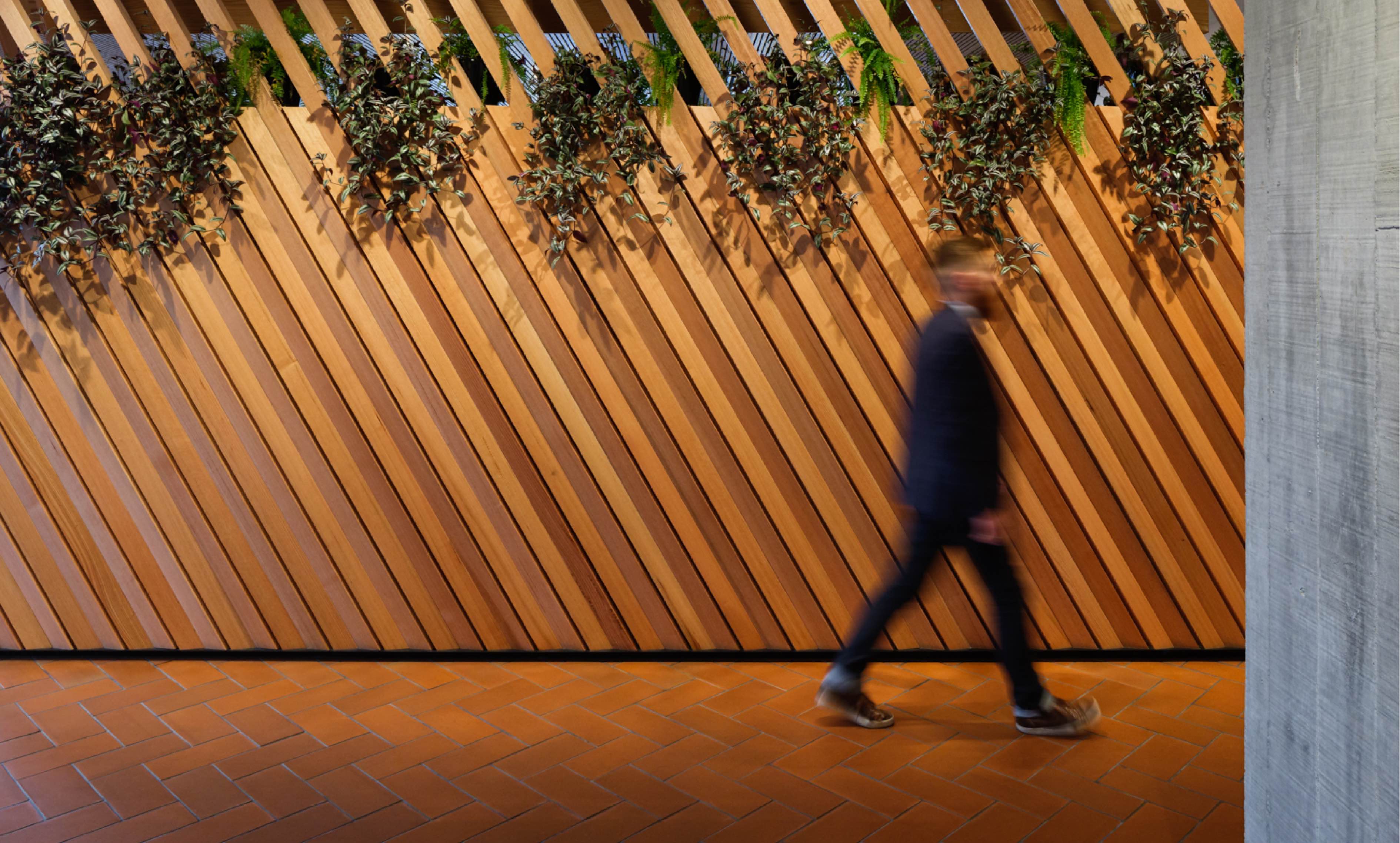 Suited man, out of focus, walks past slatted wooden wall with planting growing through slats